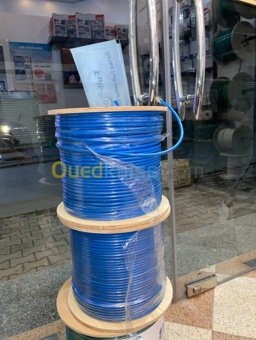Cable Réseau Cat6 