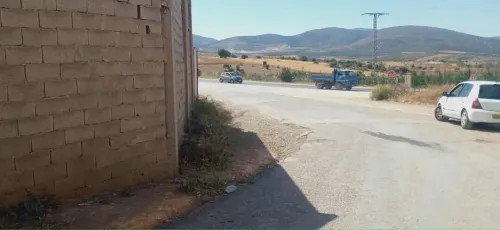 Vente Terrain Agricole Tlemcen Ouled mimoun 6
