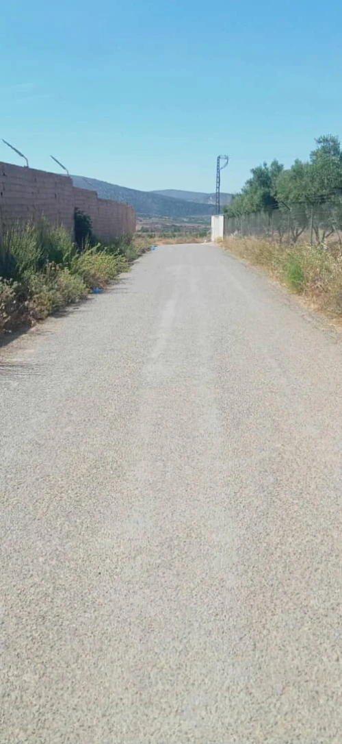 Vente Terrain Agricole Tlemcen Ouled mimoun 10