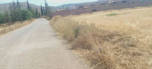 Vente Terrain Agricole Tlemcen Ouled mimoun 7