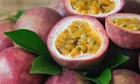 Fruit de la passion