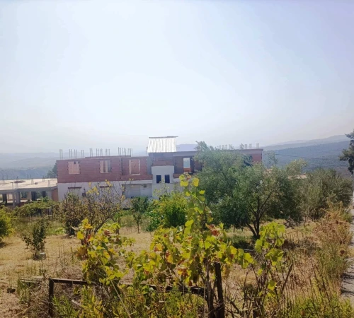 Vente Terrain Tizi Ouzou Azazga