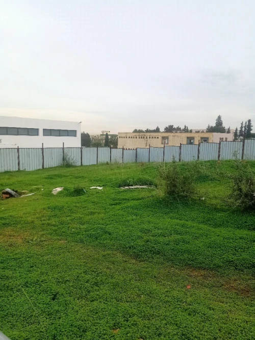 Vente Terrain Alger Birkhadem