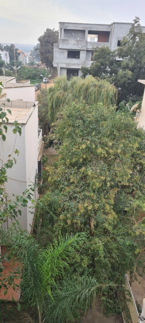 Location Appartement F2 Alger Birkhadem