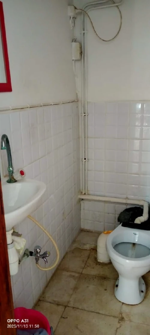 Location Appartement Studio Alger Said hamdine