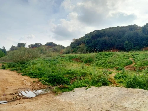 Vente Terrain Alger Cheraga