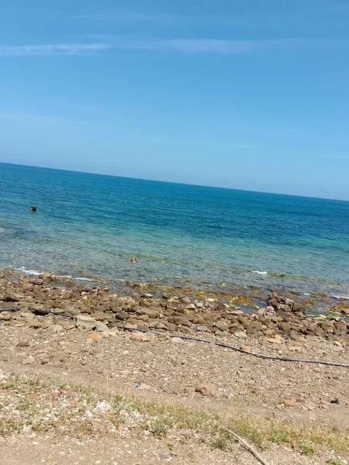 Location vacances Bungalow F6 Chlef Oued goussine