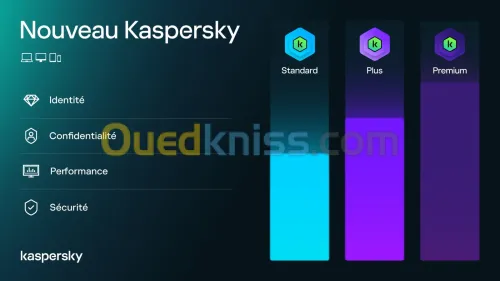 KASPERSKY PREMIUM 2025 + VPN - PRIX CHOC