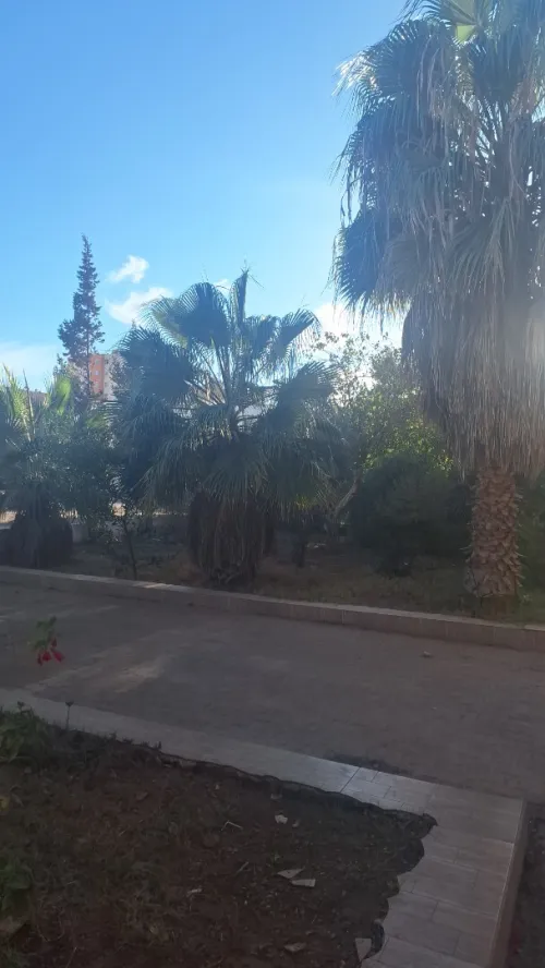 Vente Appartement F3 Oran Bir el djir