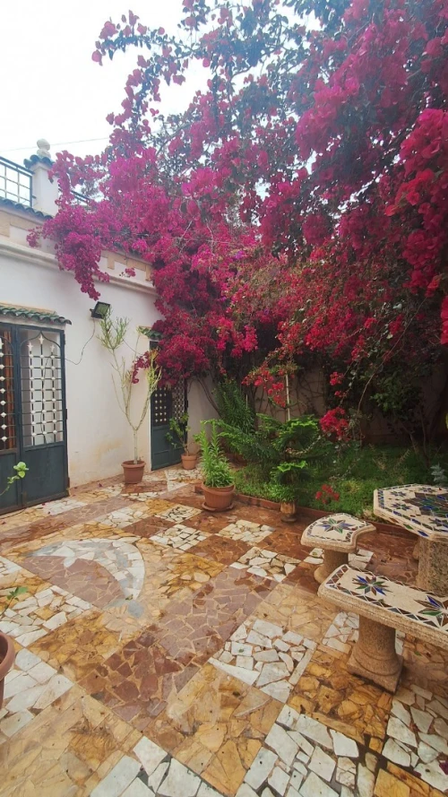 Vente Villa Oran Ain el turck