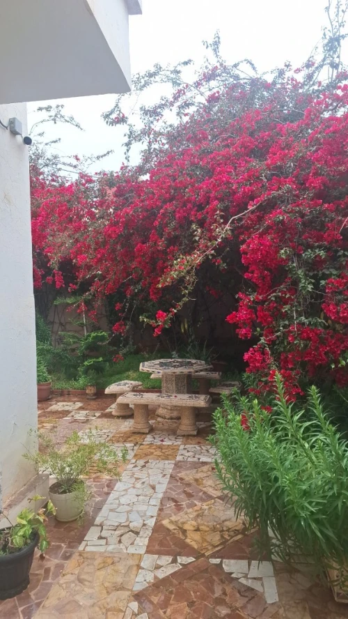 Vente Villa Oran Ain el turck