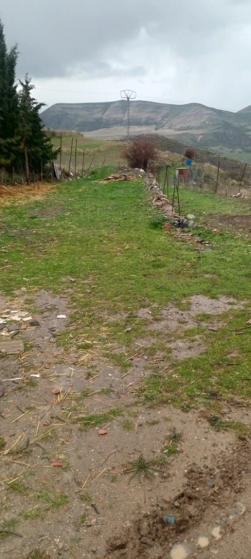 Location Terrain Agricole Sétif Ain el kebira