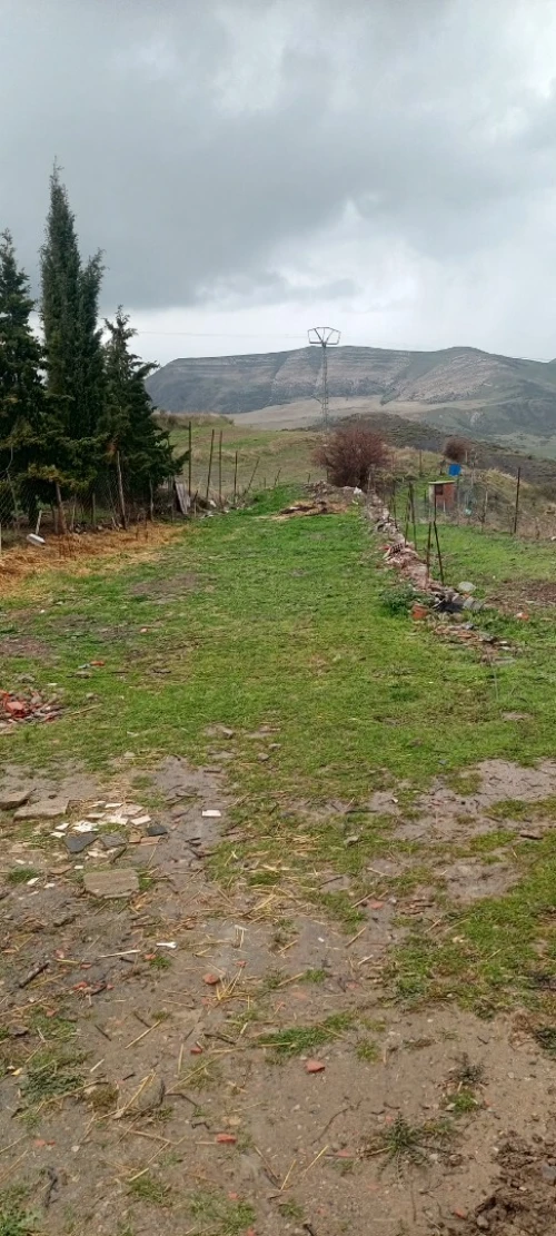 Location Terrain Agricole Sétif Ain el kebira