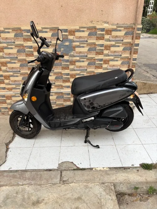 Vms Estate x 2025