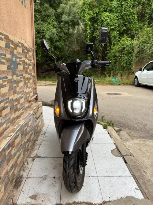 Vms Estate x 2025