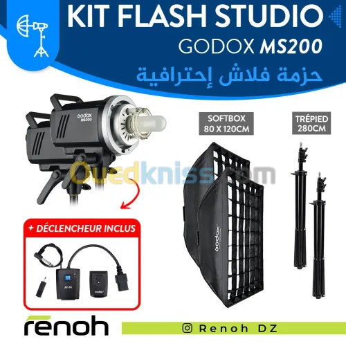 Kit Flash Studio GODOX MS200 Avec Déclencheur Inclu