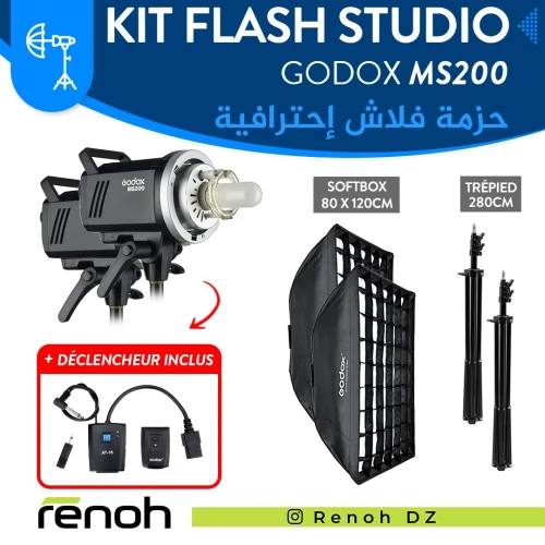 Kit Flash Studio GODOX MS300 Avec Déclencheur Inclus
