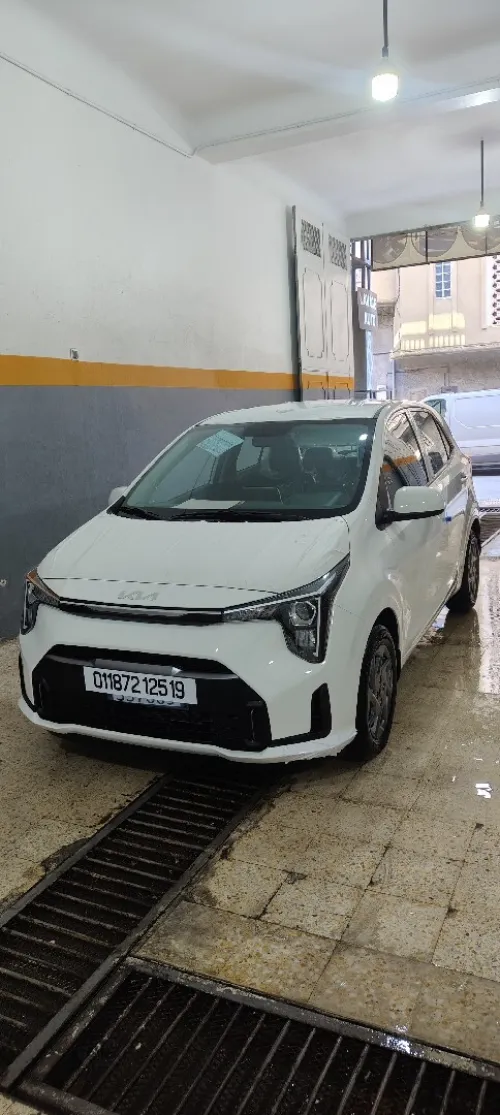 Kia Picanto 2025 Picanto
