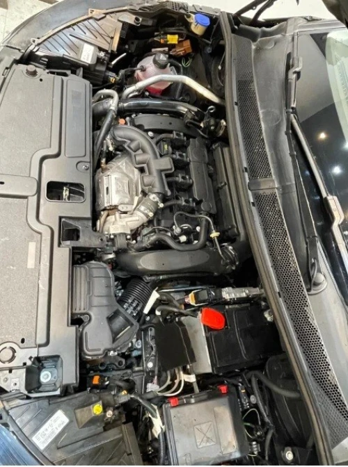 Opel GrandLand 2024 Edition, Business et GS