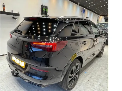 Opel GrandLand 2024 Edition, Business et GS