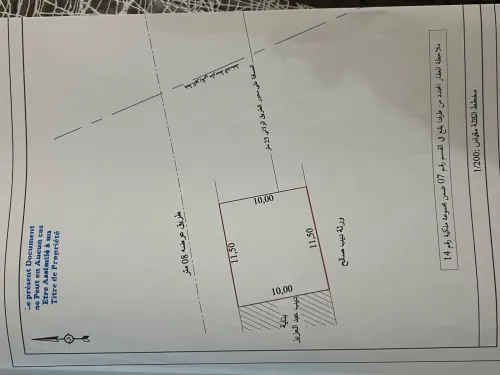 Vente Terrain Tlemcen Msirda fouaga