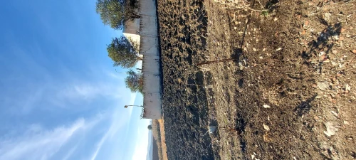 Vente Terrain Tizi Ouzou Boghni