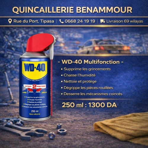 WD-40 DÉGRIPPANT MULTIFONCTION 250ML DOUBLE POSITION
