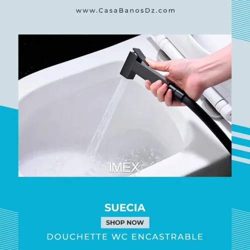 Mitigeur Douchette WC Encastré SUECIA Noir IMEX