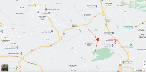 Vente Terrain Alger Saoula