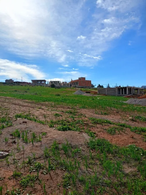 Vente Terrain Tlemcen Honaine