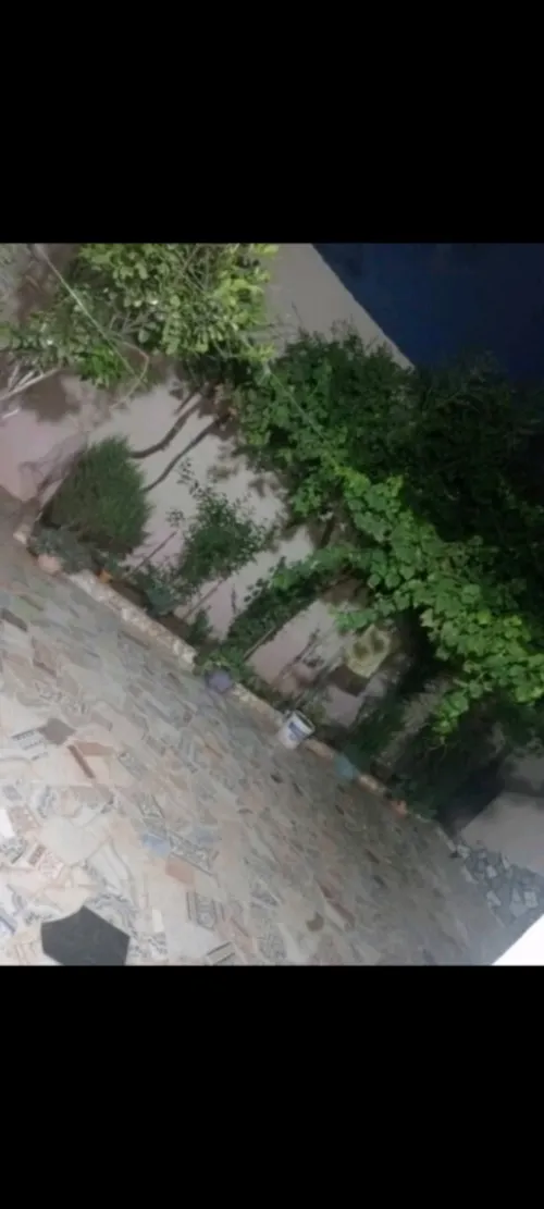 Vente Villa Sidi Bel Abbès Belarbi