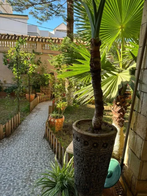 Location Villa Alger Zeralda