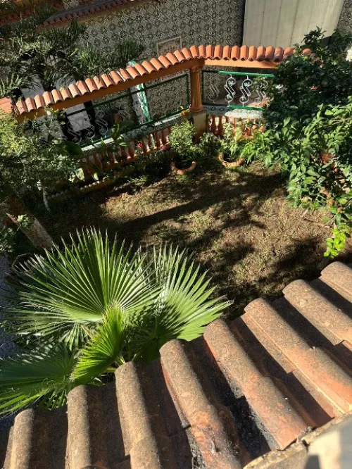 Location Villa Alger Zeralda