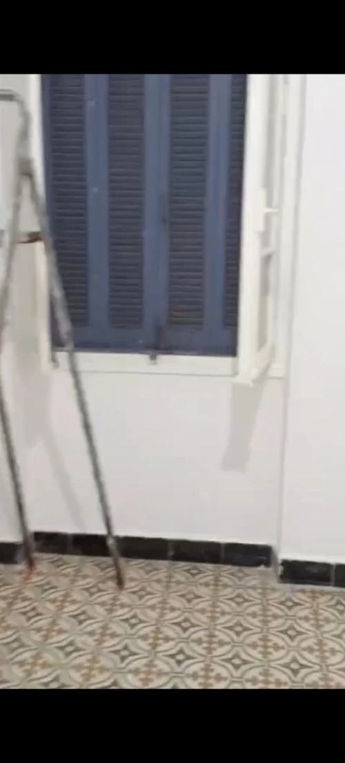 Location Appartement F3 Alger Bab el oued