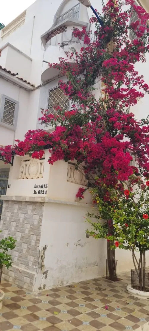 Vente Villa Mostaganem Stidia