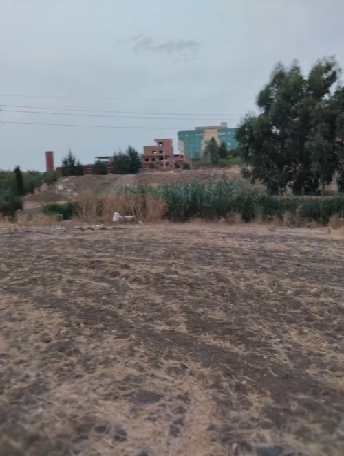 Vente Terrain Mila Mila