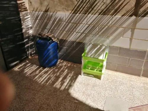 Vente Niveau De Villa F2 Oran Ain el kerma