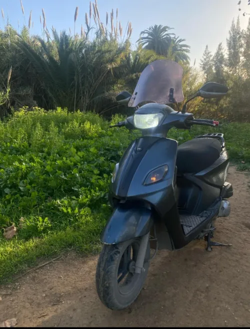 Vms Joci 2019