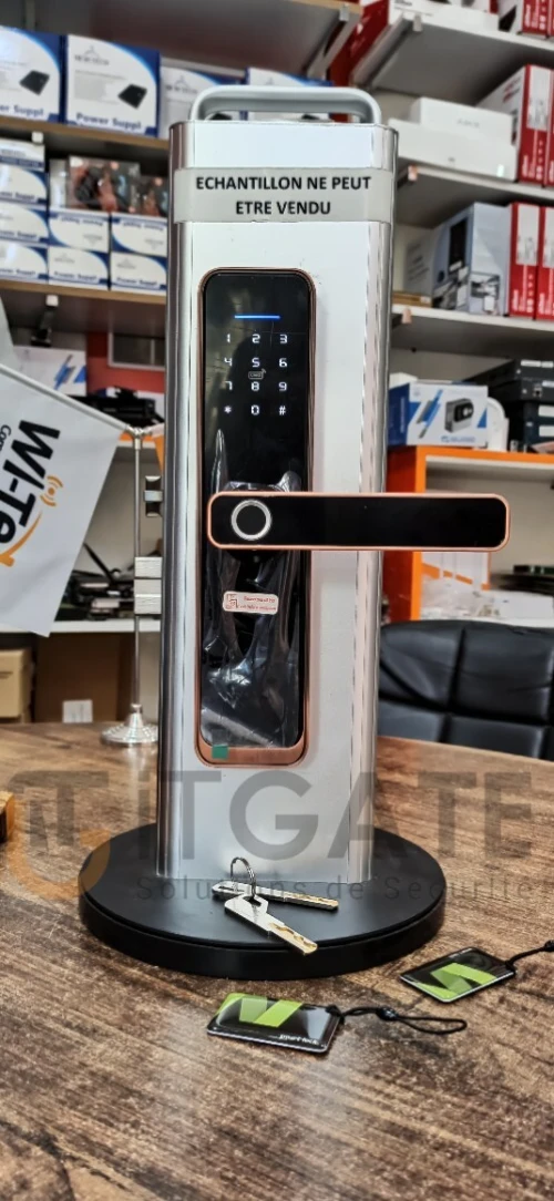 Modèle TZ100