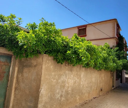 Vente Villa Tlemcen Tlemcen