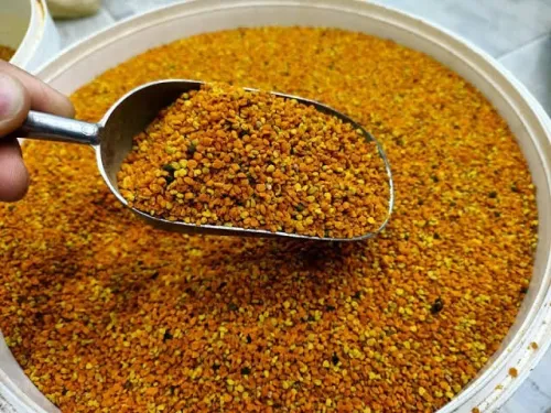 ولاية تيبازة 
