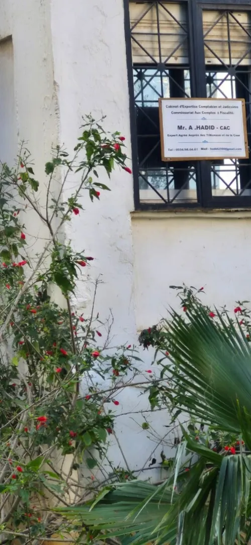 Location Appartement F4 Alger Said hamdine