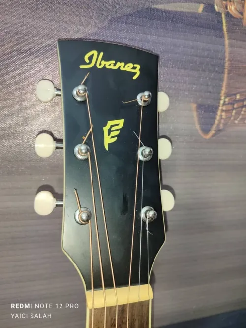 Guitare acoustique ibanez pf 14-wk