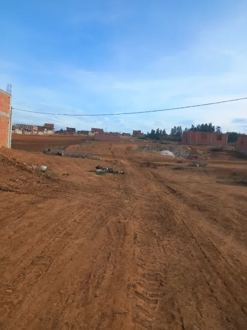 Vente Terrain Aïn Defla El attaf