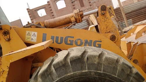 Luigong Luigong 2010