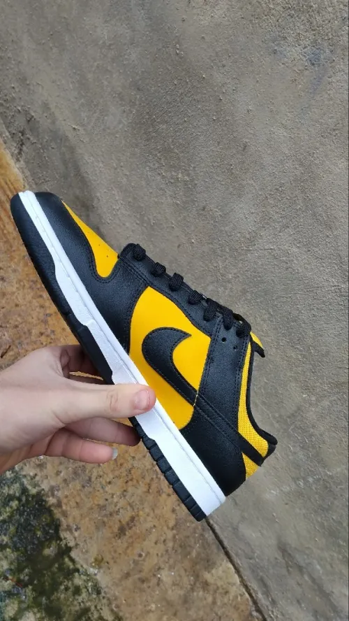 Chaussure nike dunk