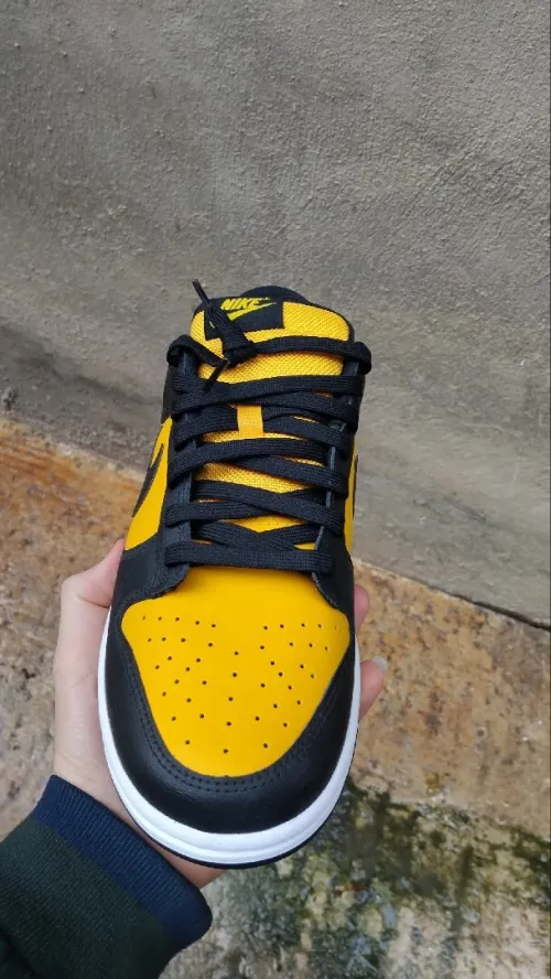 Chaussure nike dunk