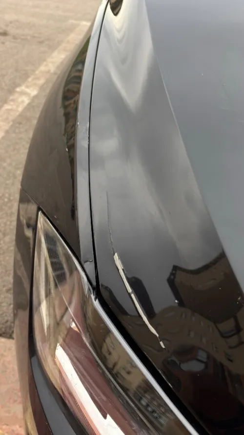 Volkswagen Polo 2018 Beats