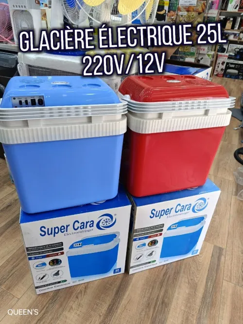 Super Cara Glacière électrique 25L 220v/12v