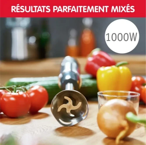 MOULINEX Pied mixeur Quickchef 3en1 12 vitesses 1000w 4 Accessoires